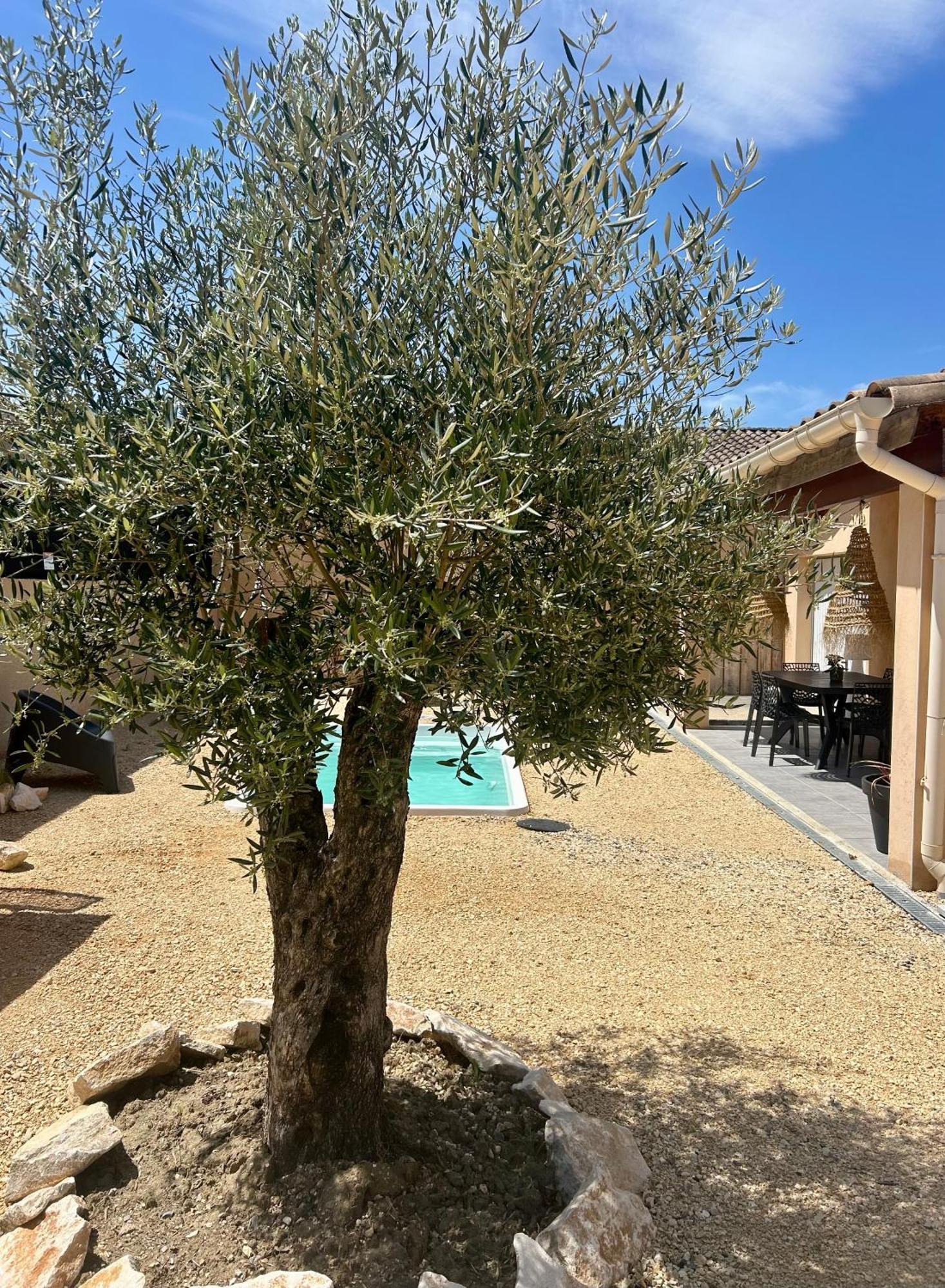 Maison Piscine & Spa Vallon Pont D'Arc Экстерьер фото